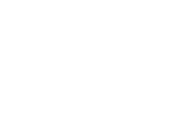 checkpoint.png