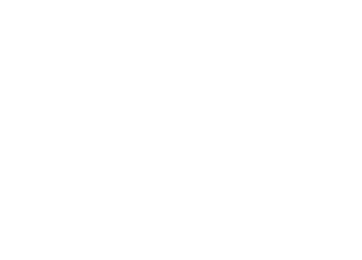 forcepoint.png