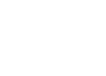 piolink.png
